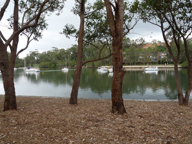 Burns Bay, Lane Cove River